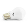 AMP BULB E27 RGB CCT DIM - AMPOULE - AMPOULES 