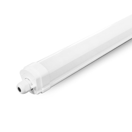 ETANCHE 35W 1555MM 5KK - DANUBE - LUMINAIRES INTERIEURS 