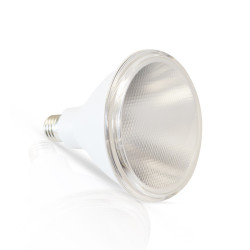 LED PAR38 15W E27 4KK IP65 - AMPOULE - AMPOULES 