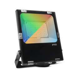 ARCHEO RGB BLC PROJ 30W CCT RF - ARCHEO RGB - LUMINAIRES EXTERIEURS 