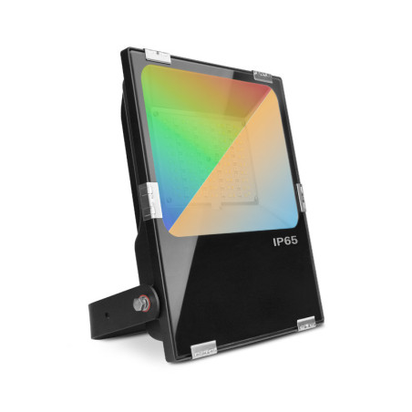 ARCHEO RGBW PROJECT 50W CCT  - ARCHEO RGB - LUMINAIRES EXTERIEURS 