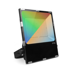 ARCHEO RGB + BLC PROJECT 100W - ARCHEO RGB - LUMINAIRES EXTERIEURS 