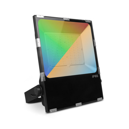 ARCHEO RGB + BLC PROJECT 100W - ARCHEO RGB - LUMINAIRES EXTERIEURS 