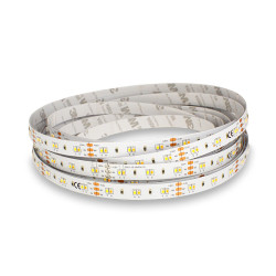 BANDEAU BLC CCT 2000-6500K 5M  - BANDEAU - LUMINAIRES INTERIEURS 