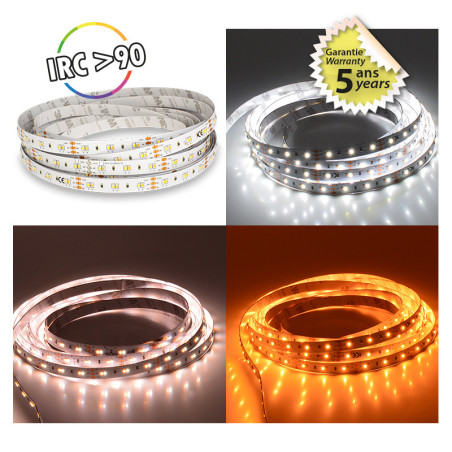 BANDEAU BLC CCT 2000-6500K 5M  - BANDEAU - LUMINAIRES INTERIEURS 