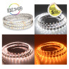 BANDEAU BLC CCT 2000-6500K 5M  - BANDEAU - LUMINAIRES INTERIEURS 