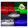 BANDEAU BLC RGB + 4000K 5M - BANDEAU - LUMINAIRES INTERIEURS 