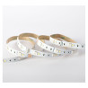 BANDEAU BLC RGB + 4000K 5M - BANDEAU - LUMINAIRES INTERIEURS 