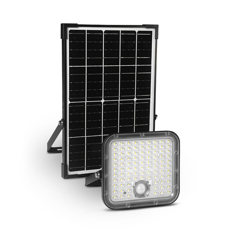 APPL SOL 30W 3CCT ASYM DET IR - SEDUM - LUMINAIRES EXTERIEURS 