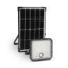 APPL SOL 30W 3CCT ASYM DET IR - SEDUM - LUMINAIRES EXTERIEURS 
