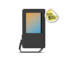 LUMOS PRO PROJECTEUR 100W 3CCT - LUMOS PRO - LUMINAIRES EXTERIEURS 