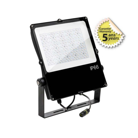 PARTHENON PROJ ASYM 100W - PARTHENON ASYM - LUMINAIRES EXTERIEURS 