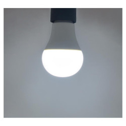 LED 11W BULB E27 6500K BX -  - AMPOULES 