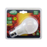 LED 11 W BULB B22 3000K BOITE - AMPOULE - AMPOULES 