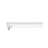 T8 SUP SIMPL TUB 1500mm BLC LN -  - AMPOULES 