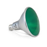 PAR38 16W E27 VERT 25° BOITE -  - AMPOULES 