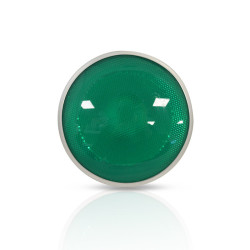 PAR38 16W E27 VERT 25° BOITE -  - AMPOULES 
