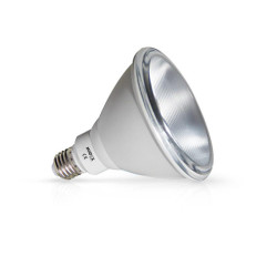 PAR38 15W E27 3000K IP65 BX - AMPOULE - AMPOULES 